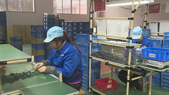 泽瀚实业 项目生产忙，平面设计铸就品牌新篇章